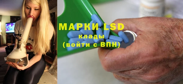 ГАЛЛЮЦИНОГЕННЫЕ ГРИБЫ Сясьстрой