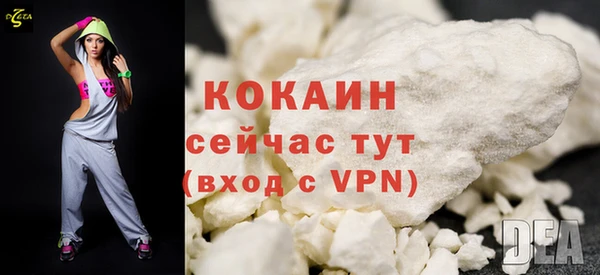 ГАЛЛЮЦИНОГЕННЫЕ ГРИБЫ Сясьстрой