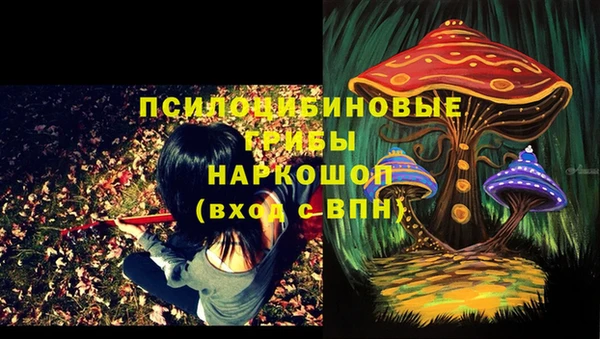 спиды Тихвин