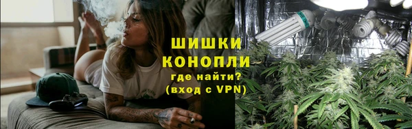 ГАЛЛЮЦИНОГЕННЫЕ ГРИБЫ Сясьстрой