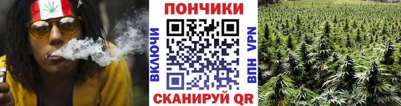 Бошки марихуана White Widow  купить наркоту  Торопец 